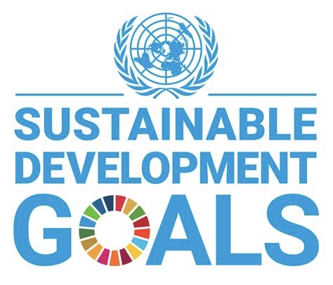 UN SDGs-ITMO